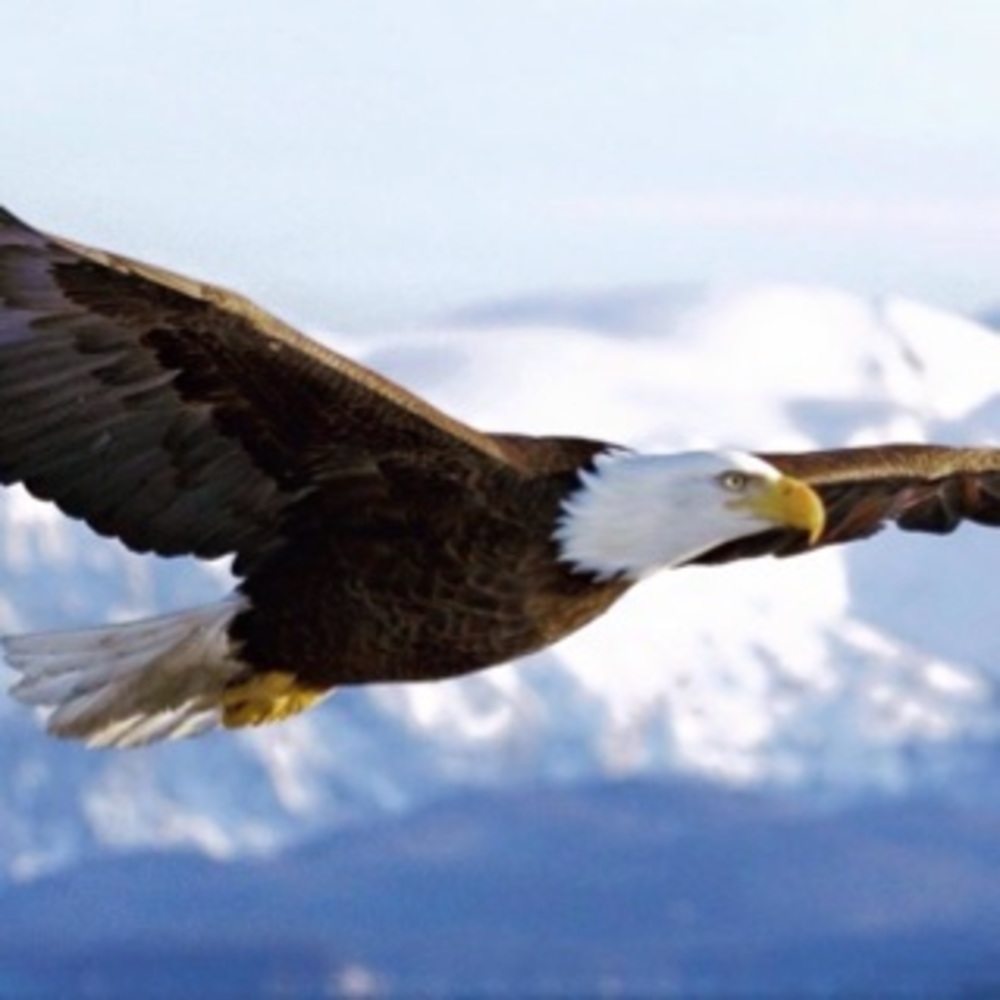 Meet your Posher, Victor